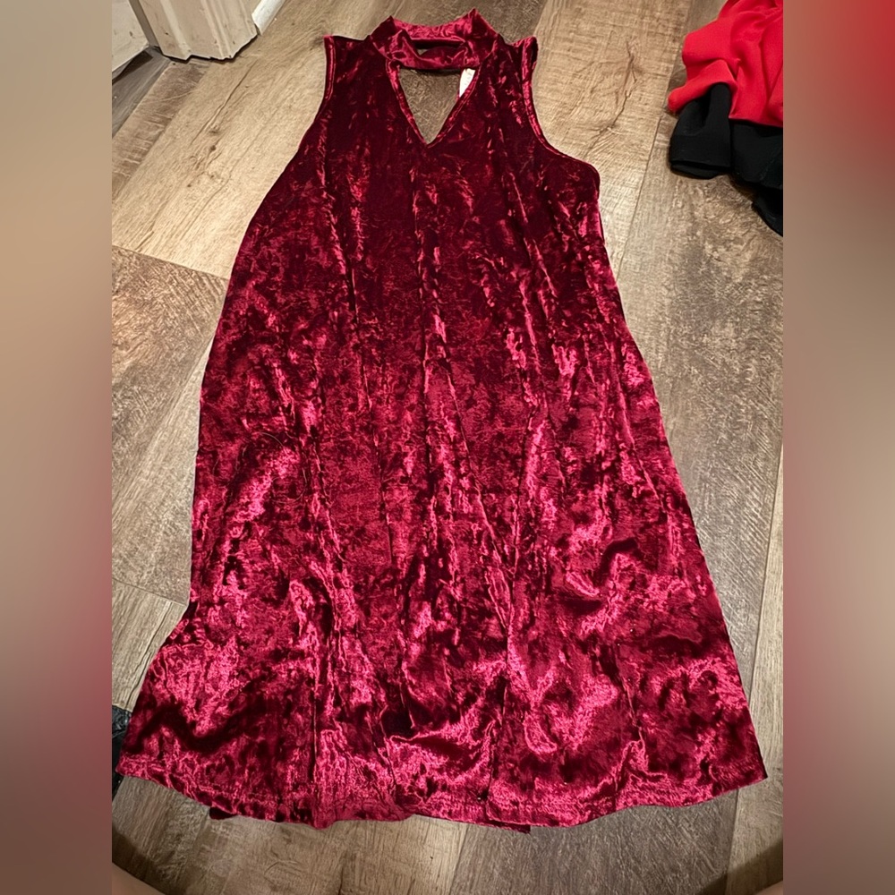 Altar'd State Rich Burgundy Velvet Dress
